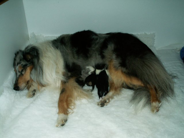 pict0001.jpg