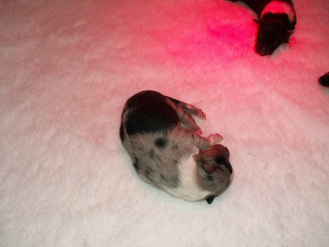 pict0004.jpg