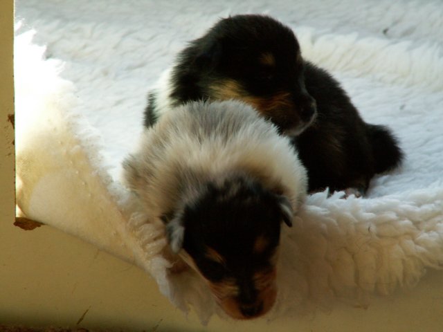 pict0012.jpg
