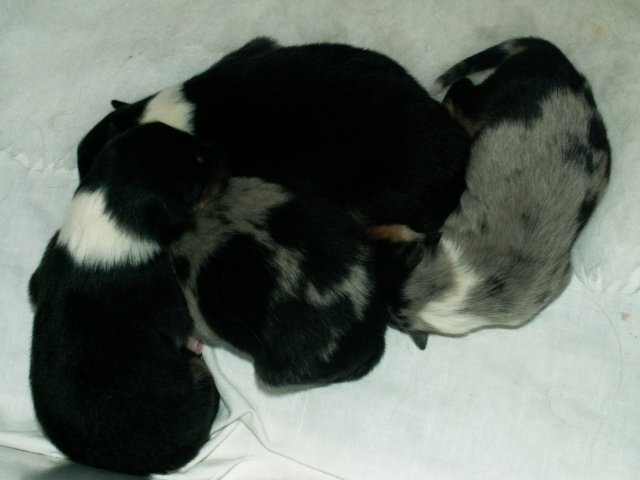 pict0016.jpg