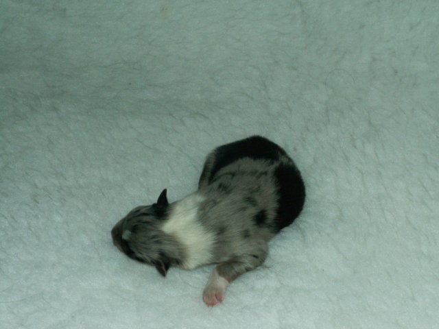 pict0023.jpg