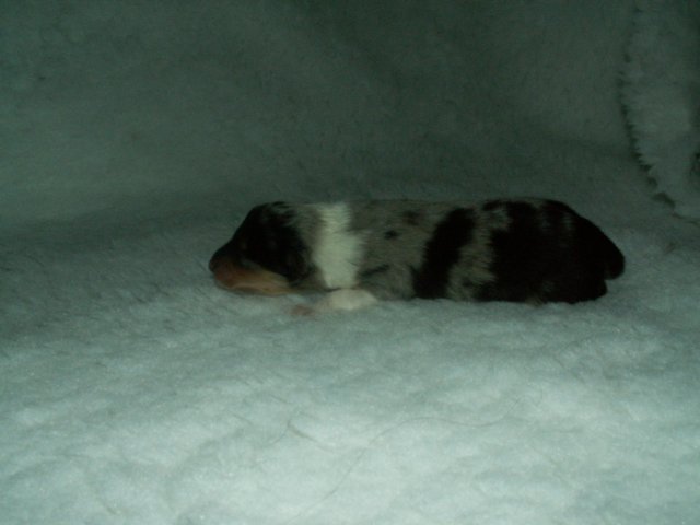 pict0026.jpg