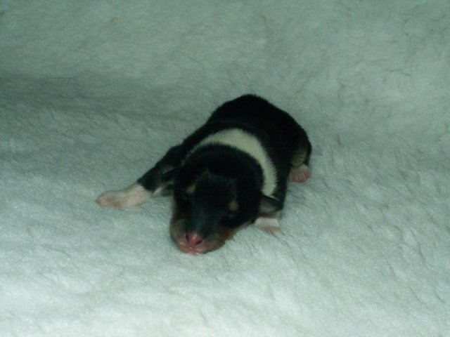 pict0029.jpg