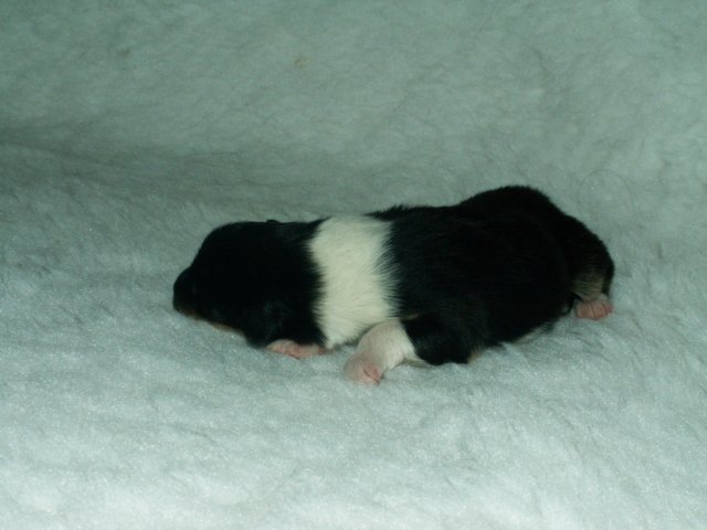 pict0030.jpg