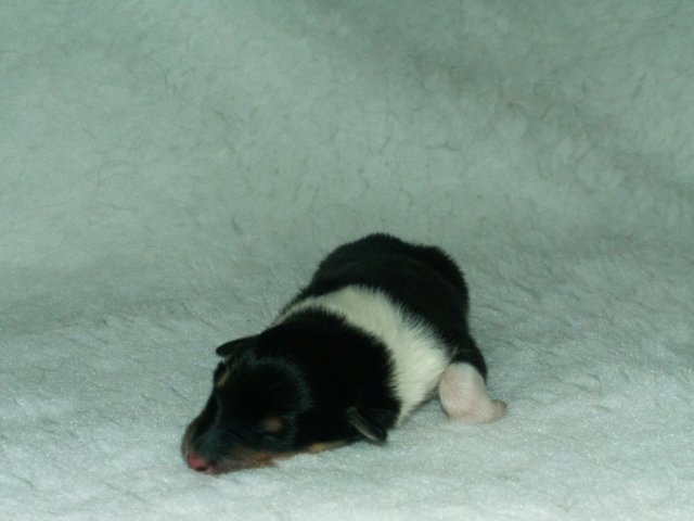 pict0032.jpg