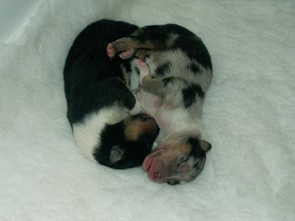 pict0040.jpg