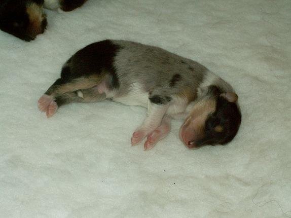 pict0041.jpg