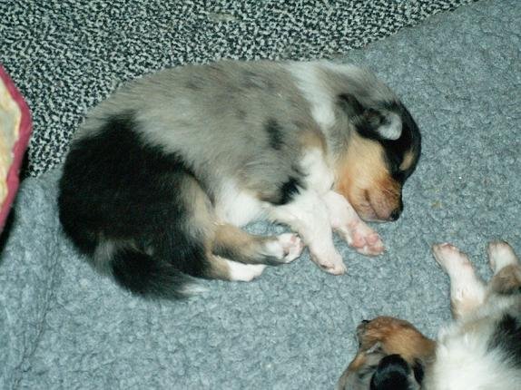 pict0043.jpg