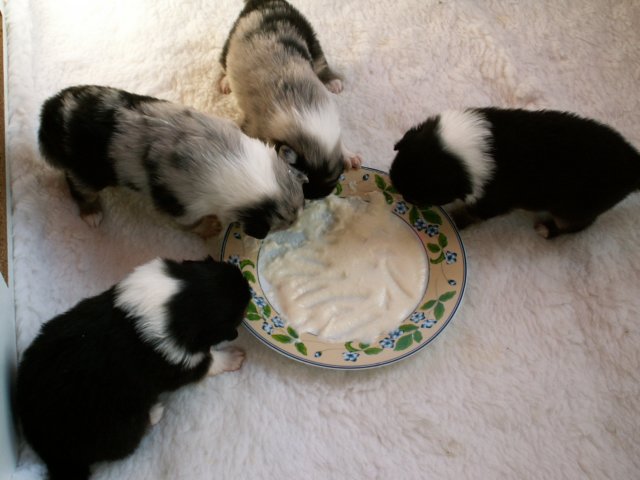 pict0047.jpg