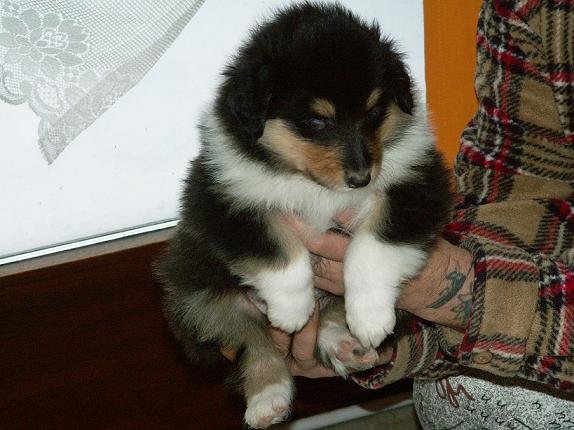 pict0049.jpg