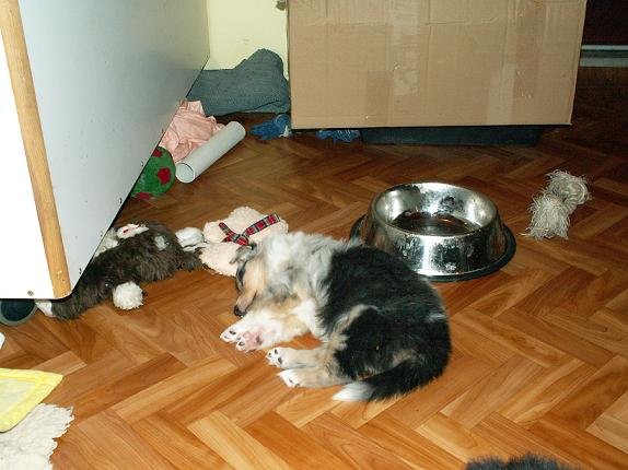 pict0055.jpg