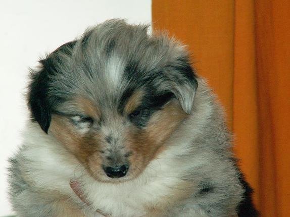 pict0058.jpg