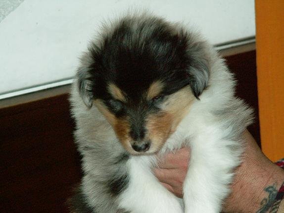 pict0059.jpg