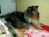b3woche06_small.jpg