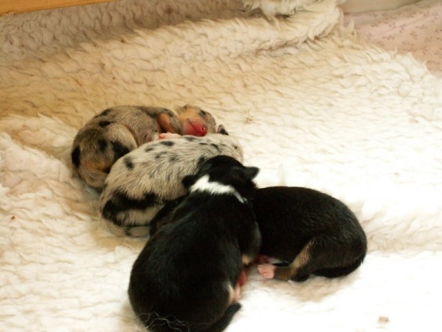 photo3.jpg