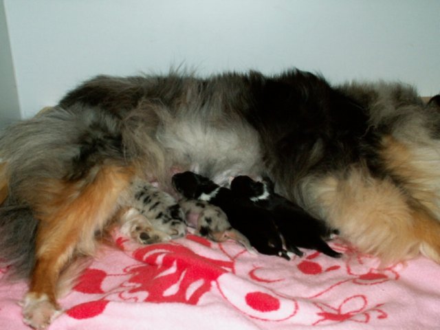 photo5.jpg