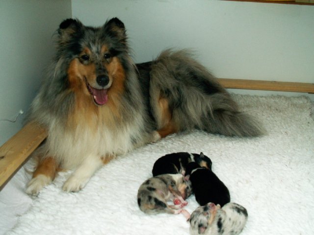 photo7.jpg
