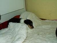 cwurf21tag2.jpg