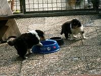 cwurf35tag8.jpg