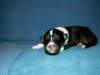 cwurf3tag018b_small.jpg