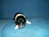cwurf3tag019b_small.jpg
