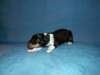 cwurf3tag020b_small.jpg